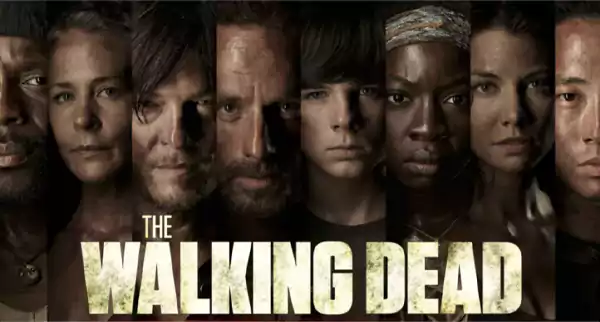 The Walking Dead Series