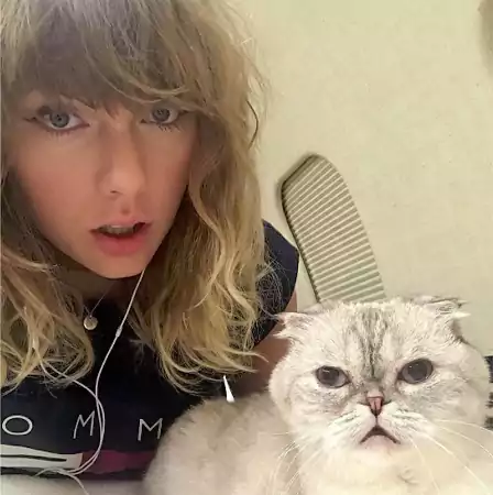 Taylor Swift no make up with cat