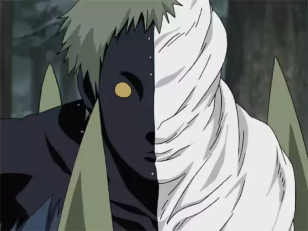 Zetsu Black Zetsu and White Zetsu