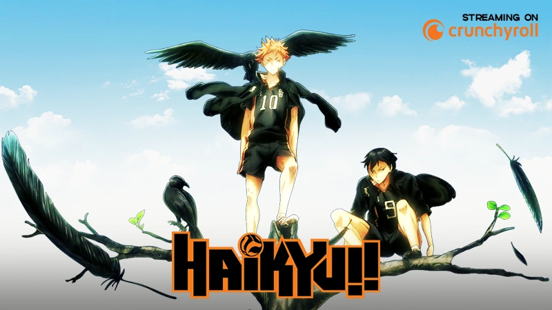 haikyu the dumpster battle